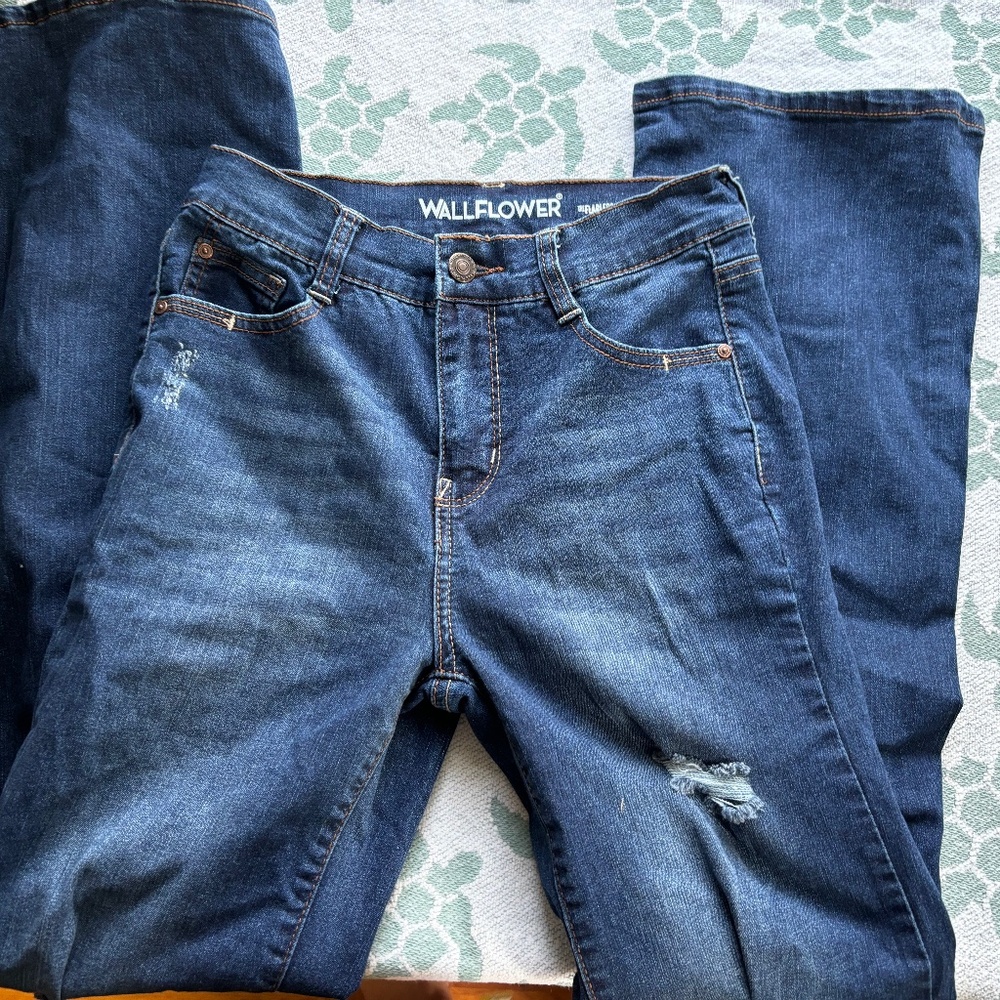 Flared Jeans Wallflower size 0